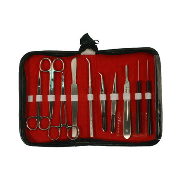 Dissecting Set, Student