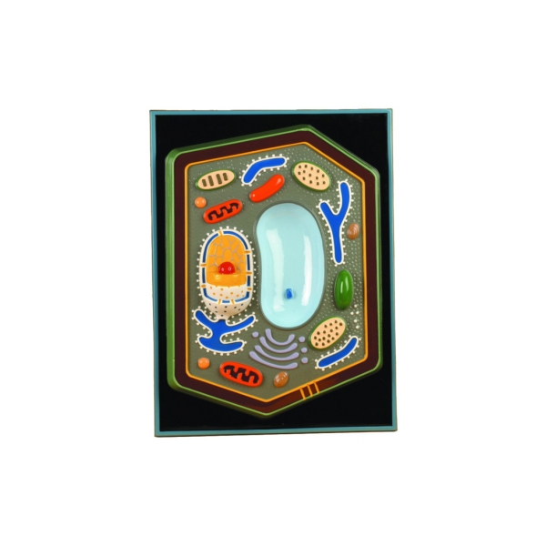 Animal Cell Plaque