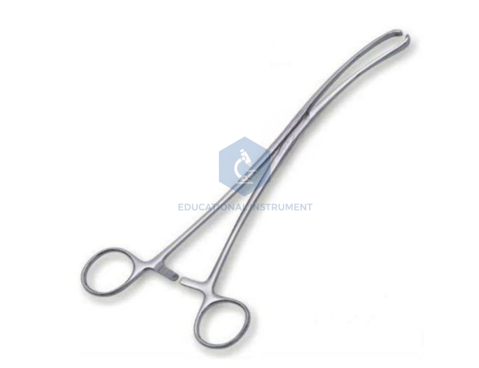 Vasculum Forcep