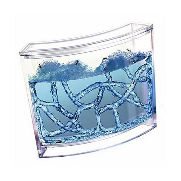 Ant works Deluxe Kit