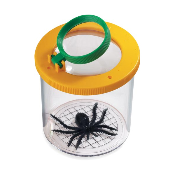 Bug Box, Gridded
