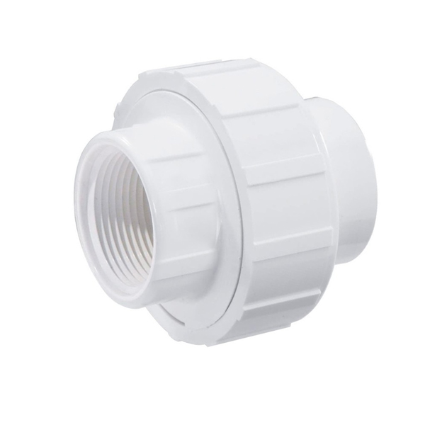 Equal Union, female x female