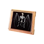 Bat Skeleton