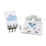 Plant Cell Study Kit