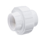 Equal Union, female x female