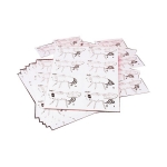 Fruit fly Genetics Kit